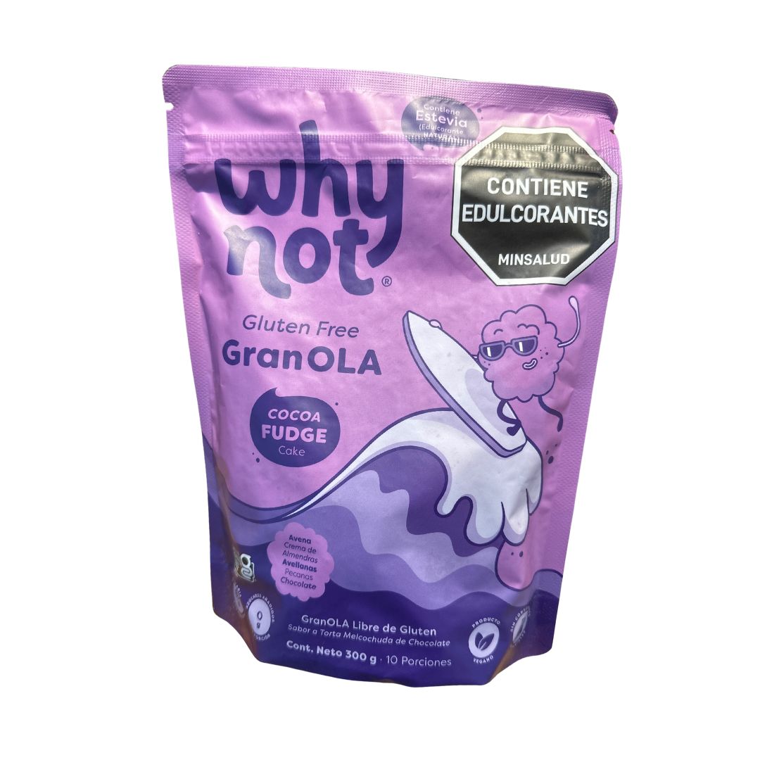 GRANOLA COCOA FUDGE - WHY NOT