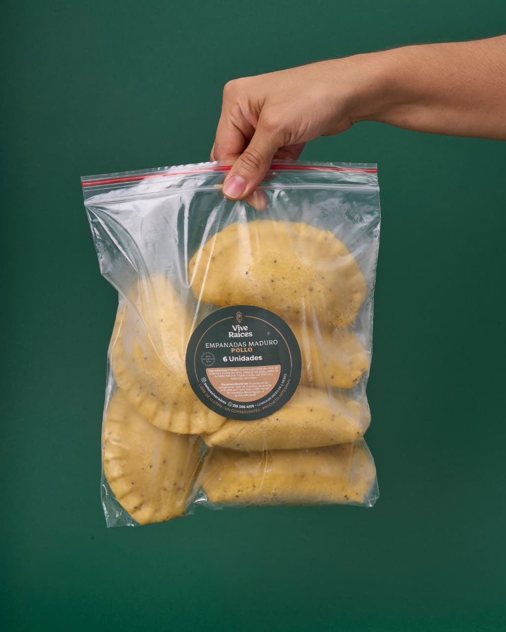 EMPANADAS X 6UDS - VIVE RAICES