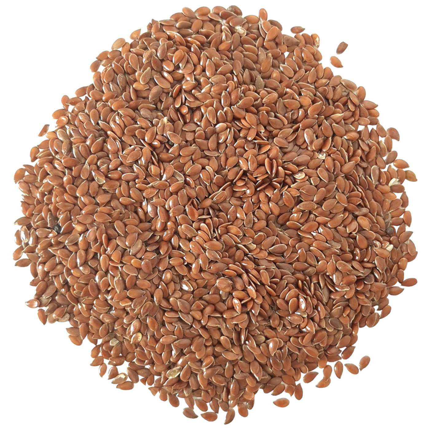 Linaza semillas