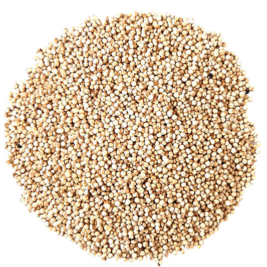 Quinoa